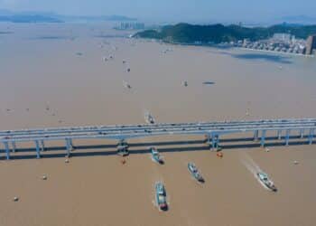 Chinese fishing ban blasted as PR stunt that does 'nothing' to protect wildlife