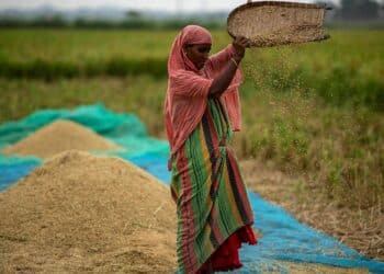 Global food prices rise after Russia pulls out of wartime grain agreement with Ukraine