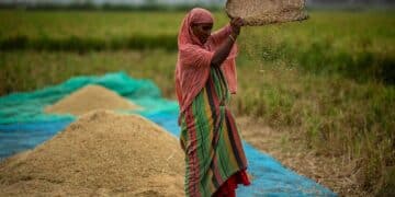 Global food prices rise after Russia pulls out of wartime grain agreement with Ukraine