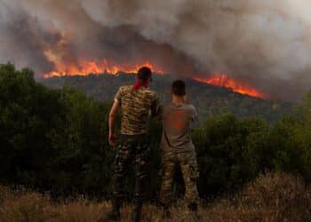Greek authorities arrest 79 ‘arsonist scum’ in connection with devastating wildfires