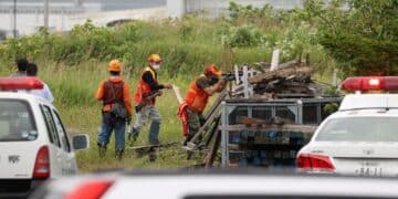 Hunters take out serial cow-killing 'Ninja bear' in Japan