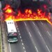 Passengers on Argentina bus run for their lives after public bus becomes engulfed in flames