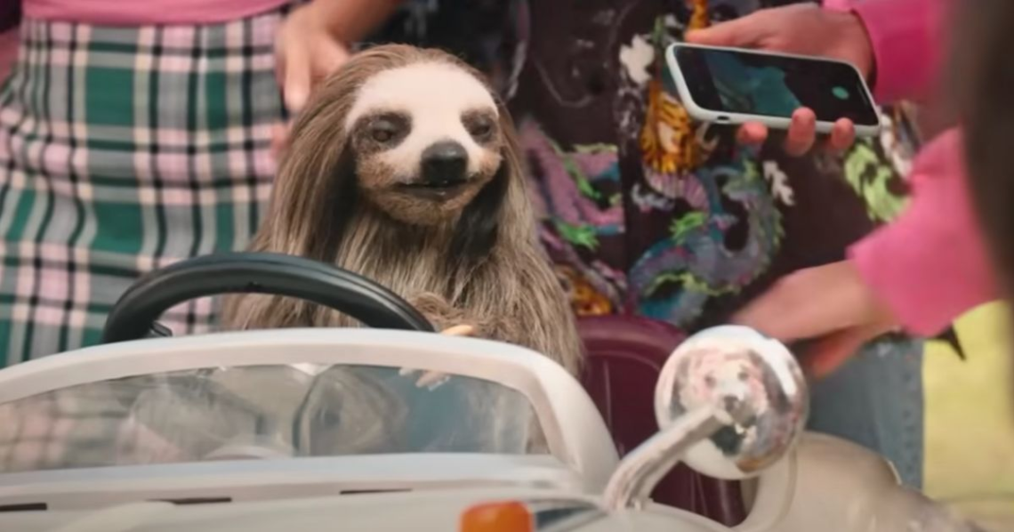 Sorority Sisters Battle Killer Sloth In ‘Slotherhouse’ Trailer