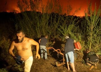 Spanish police confirm Tenerife wildfire was started deliberately
