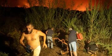 Spanish police confirm Tenerife wildfire was started deliberately