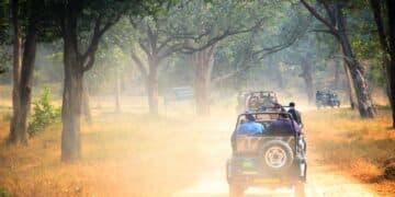 Wild Adventures Await: Discovering the Beauty of the Wilder World