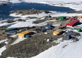 Australian man who fell ill at Antarctic base returned home following daunting rescue mission