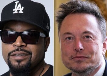 'Feel Stupid Yet?': Ice Cube Burns Elon Musk With Scorching Surprise Diss