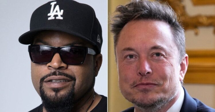 'Feel Stupid Yet?': Ice Cube Burns Elon Musk With Scorching Surprise Diss