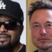 'Feel Stupid Yet?': Ice Cube Burns Elon Musk With Scorching Surprise Diss