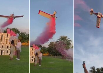Gender Reveal Turns Deadly As Stunt Plane Crashes In Mexico