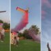 Gender Reveal Turns Deadly As Stunt Plane Crashes In Mexico
