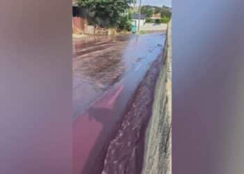 Red wine flows through town's streets after distillery tank accident releases more than half a million gallons
