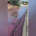 Red wine flows through town's streets after distillery tank accident releases more than half a million gallons Red wine flows through town's streets after distillery tank accident releases more than half a million gallons