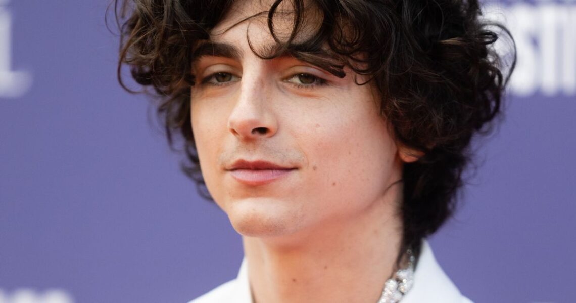 Timothée Chalamet Slammed By Fans For Lighting Up A Cigarette At Beyoncé Concert
