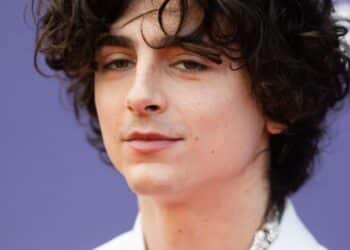 Timothée Chalamet Slammed By Fans For Lighting Up A Cigarette At Beyoncé Concert