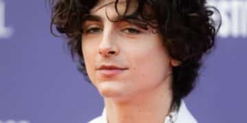 Timothée Chalamet Slammed By Fans For Lighting Up A Cigarette At Beyoncé Concert