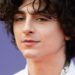 Timothée Chalamet Slammed By Fans For Lighting Up A Cigarette At Beyoncé Concert