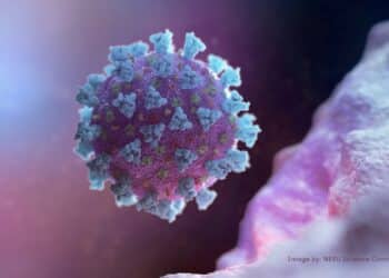 UK identifies 34 cases of new BA.2.86 COVID-19 variant, no deaths reported