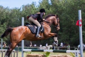 The Lasting Appeal of Horse Riding