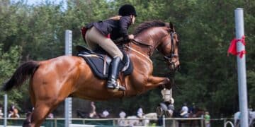 The Lasting Appeal of Horse Riding