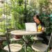 The Role of Bitcoin in Digital Nomad Co-Living Spaces