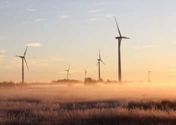 Trading Energy Options in a Green Transitioning World