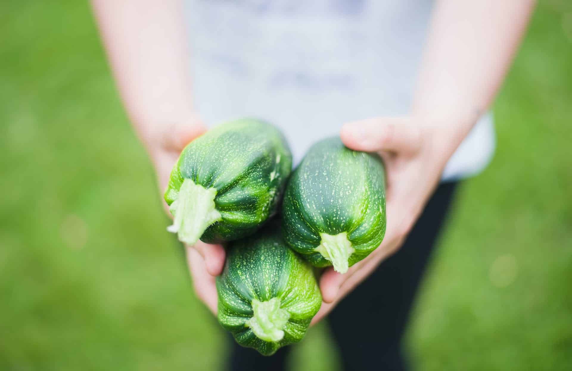 How to Start a Home Vegetable Garden: A Green Thumb's Guide