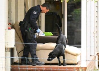 Australian woman charged with using toxic mushrooms to kill ex-husband’s parents, aunt