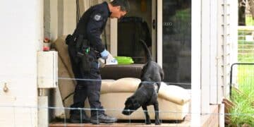 Australian woman charged with using toxic mushrooms to kill ex-husband’s parents, aunt