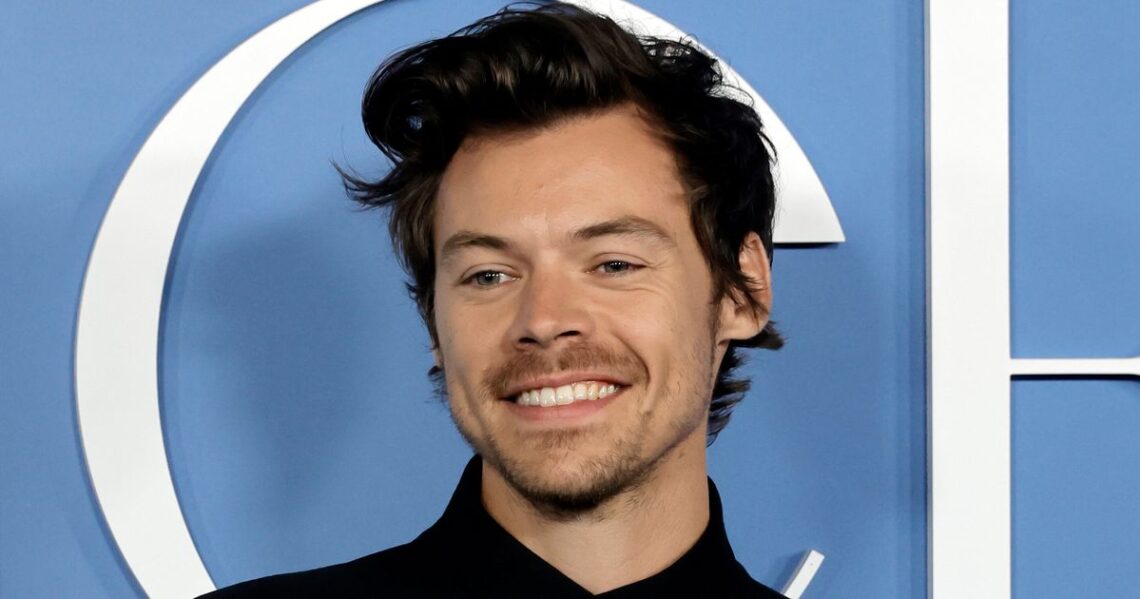 Harry Styles’ Newly Shaved Head Has Fans Divided Harry Styles’ Newly Shaved Head Has Fans Divided