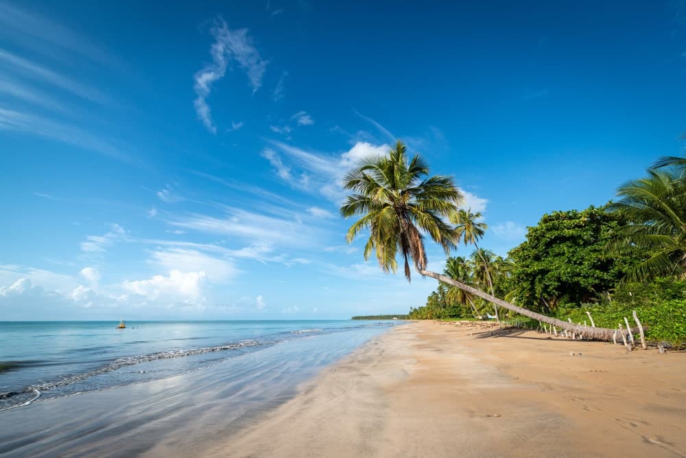 8 Reasons Why You Should Visit Goa In June-July