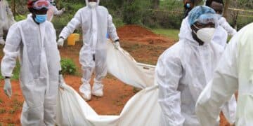 Crimes That Shocked The World In 2023