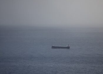 Iran appears to have struck a ship off Indian coast with drone: U.S. Official