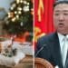 Kim Jong UN bans Christmas, but activists send gifts of bibles, food and messages of hope