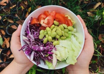 Top 6 Healthy Recipes for Weight Loss