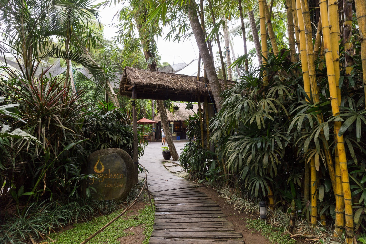 Unwind in Ubud: 7 Wellness Retreats in Bali