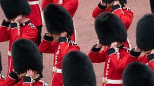 PETA launches campaign against bearskin hats worn by King's Guard in United Kingdom PETA launches campaign against bearskin hats worn by King’s Guard in United Kingdom