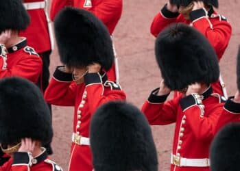 PETA launches campaign against bearskin hats worn by King’s Guard in United Kingdom