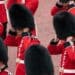 PETA launches campaign against bearskin hats worn by King’s Guard in United Kingdom