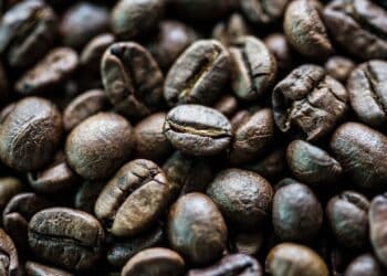 Uncovering The World's Most Expensive Coffee Beans