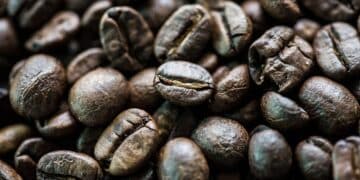 Uncovering The World's Most Expensive Coffee Beans