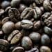 Uncovering The World's Most Expensive Coffee Beans