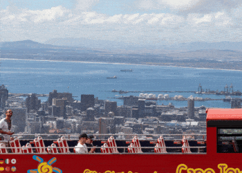 A ship carrying 19,000 cattle caused a big stink in the South African city of Cape Town