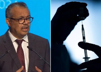 Disease X outbreak only a matter of time, says WHO chief Tedros