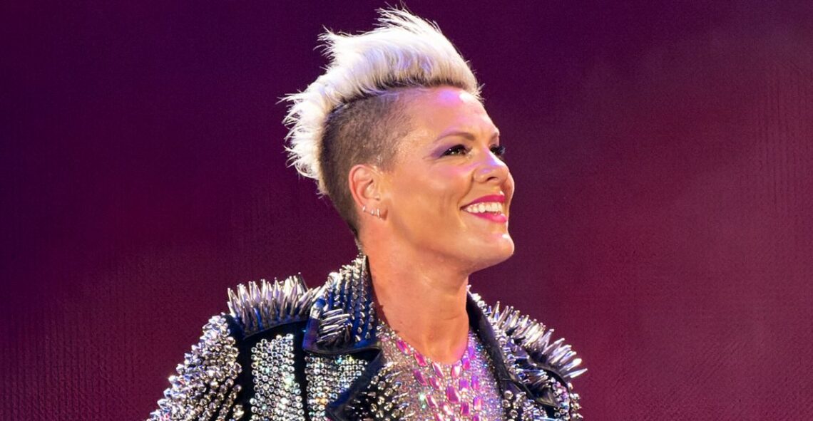 'Good Luck!' Pink Stops Concert As Fan Goes Into Labor ‘Good Luck!’ Pink Stops Concert As Fan Goes Into Labor