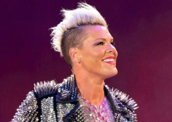 ‘Good Luck!’ Pink Stops Concert As Fan Goes Into Labor