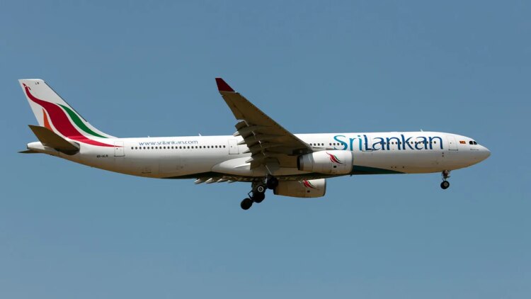 SriLankan Airlines plane grounded after stowaway rat found