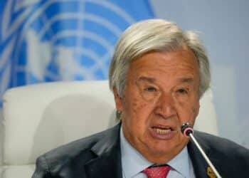United Nations chief urges security council to address impact of food shortages