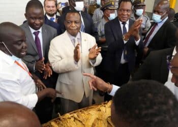 Zimbabwe VP says government will block LGBTQ scholarship initiative